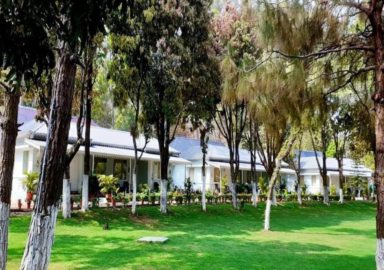 Greendale Resort Pachmarhī Eksteriør billede